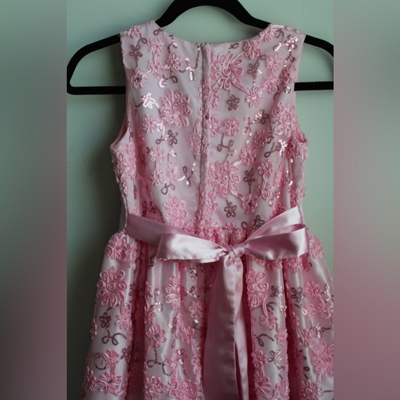 American Princess Pink Embroidered Dress - Picture 3 of 10